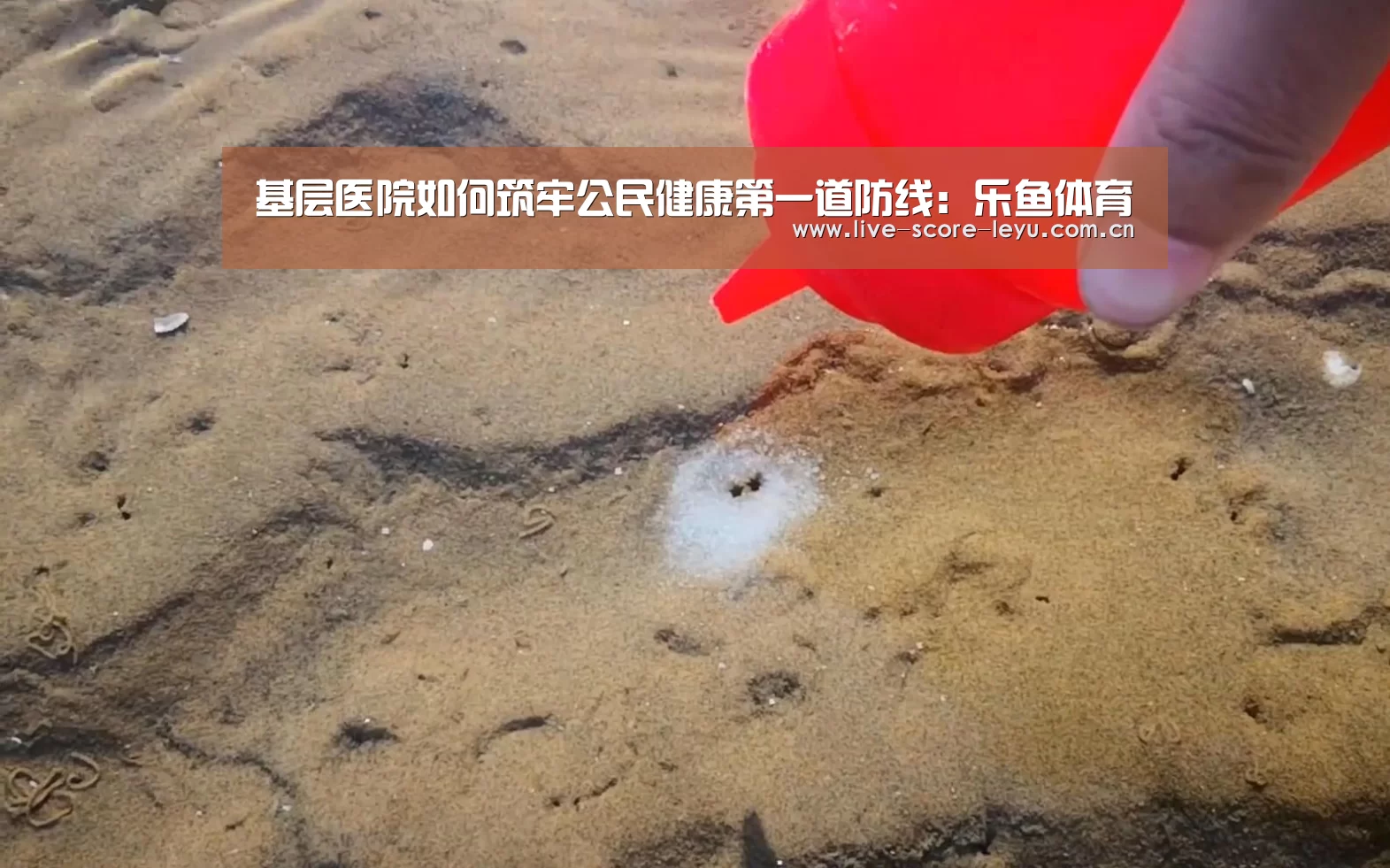 乐鱼娱乐